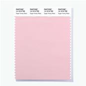 14-1519 TSX Sugar Honey Glaze - Polyester Swatch Card