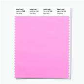 14-2116 TSX Fairy Wing - Polyester Swatch Card
