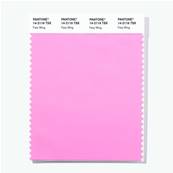 14-2116 TSX Fairy Wing - Polyester Swatch Card