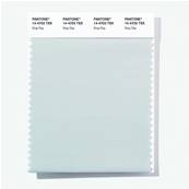 14-4703 TSX Gray Day - Polyester Swatch Card