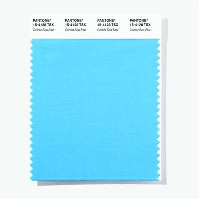 15-4128 TSX Comet Sea Star - Polyester Swatch Card