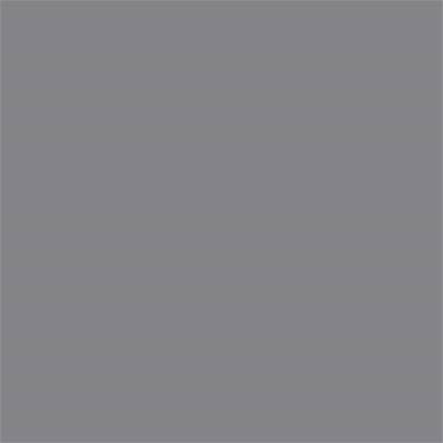17-0000 TCX Frost Gray