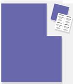 17-3938 TPG paper sheet (21.6cm*28cm) Very Peri TPG Sheet