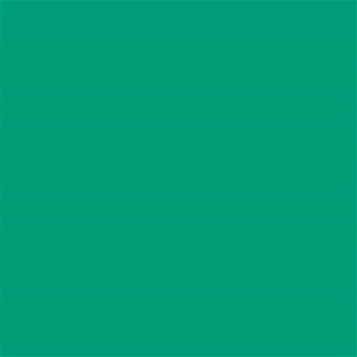 17-5936 TCX Simply Green