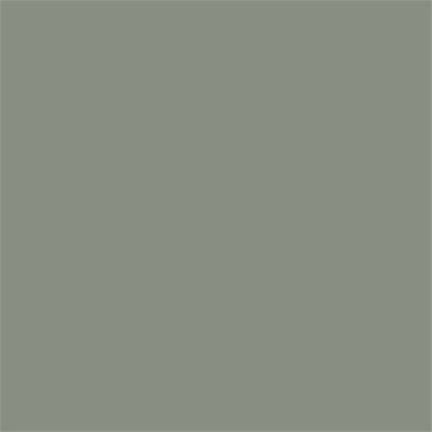 17-6206 TCX Shadow
