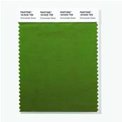 18-0425 TSX Commander Green - Polyester Swatch Card