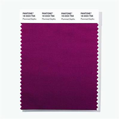19-2223 TSX Plummed Depths  - Polyester Swatch Card