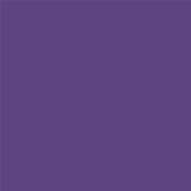 19-3642 TCX Royal Purple
