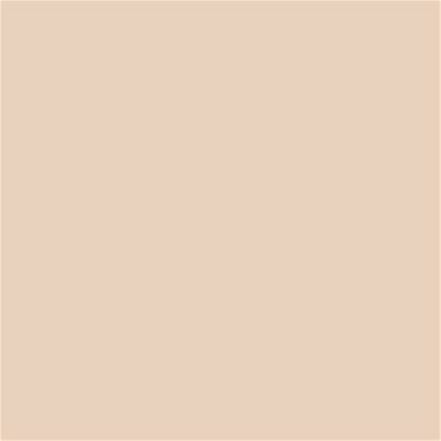 12-1007 TCX Pastel Rose Tan