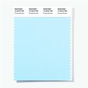 12-4010 TSX Frosted Window - Polyester Swatch Card