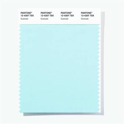 12-4207 TSX Quietude - Polyester Swatch Card