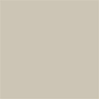 13-0401 TCX Oatmeal