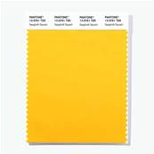 13-0761 TSX Spaghetti Squash - Polyester Swatch Card