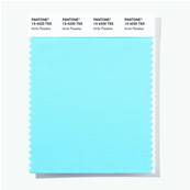 13-4220 TSX Arctic Paradise - Polyester Swatch Card