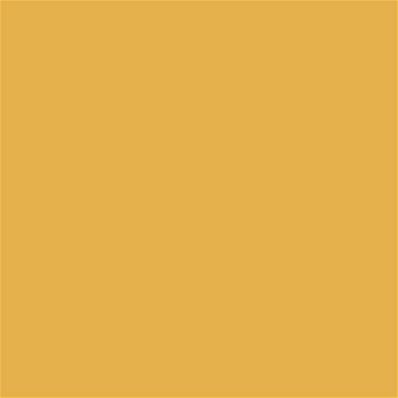 14-0846 TCX Yolk Yellow