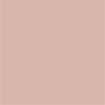 14-1310 TCX Cameo Rose
