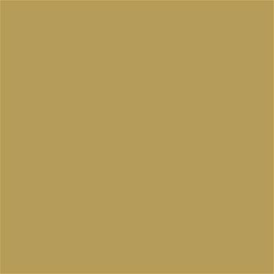 16-0836 TCX Rich Gold
