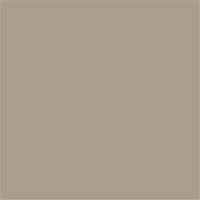 16-1105 TCX Plaza Taupe