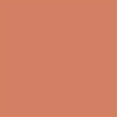 16-1345 TCX Sun Baked