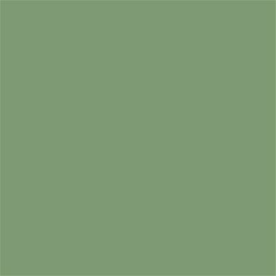 17-0215 TCX Aspen Green