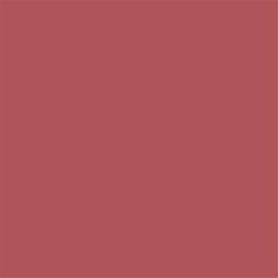 17-1537 TCX Mineral Red