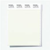 11-0109 TSX Cappucino Foam - Polyester Swatch Cards