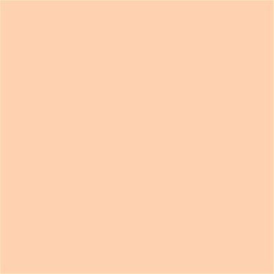 12-0917 TCX Bleached Apricot