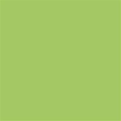 14-0244 TCX Bright Lime Green