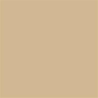 14-1116 TCX Almond Buff