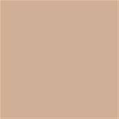 14-1315 TCX Hazelnut