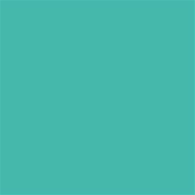 15-5519 TCX Turquoise