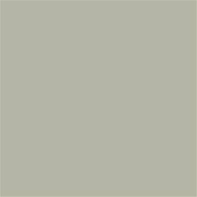 15-6307 TCX Agate Gray