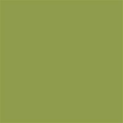 16-0439 TCX Spinach Green
