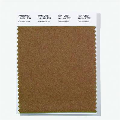 16-1311 TSX Coconut Husk - Polyester Swatch Card