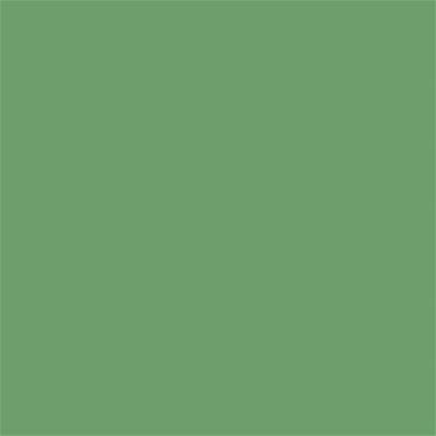 16-6329 TCX Peppermint