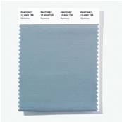 17-4002 TSX Mysterious - Polyester Swatch Card