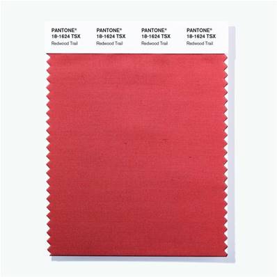 18-1624 TSX Redwood Trail - Polyester Swatch Card