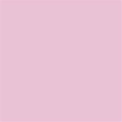13-2805 TCX Roseate Spoonbill