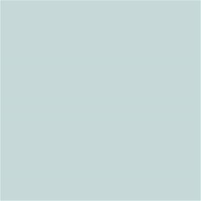 13-4804 TCX Pale Blue