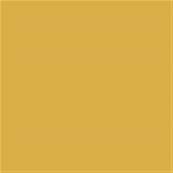 14-0952 TCX Spicy Mustard