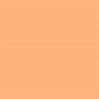 14-1135 TCX Salmon Buff