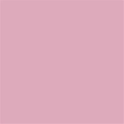 14-2307 TCX Cameo Pink