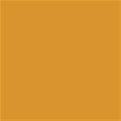 15-1051 TCX Golden Orange