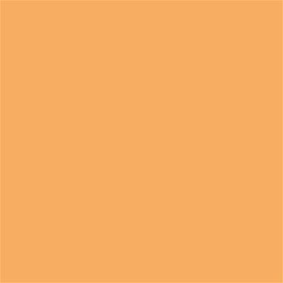 15-1145 TCX Chamois