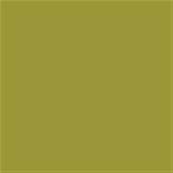 16-0543 TCX Golden Lime