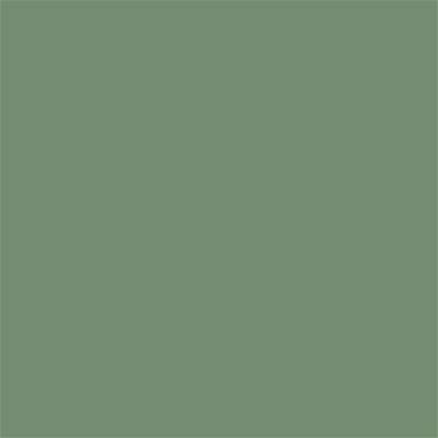 17-0210 TCX Loden Frost
