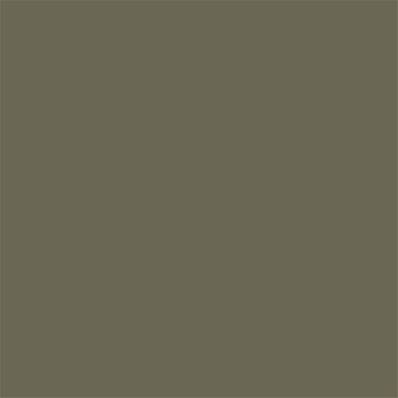 18-0521 TCX Burnt Olive