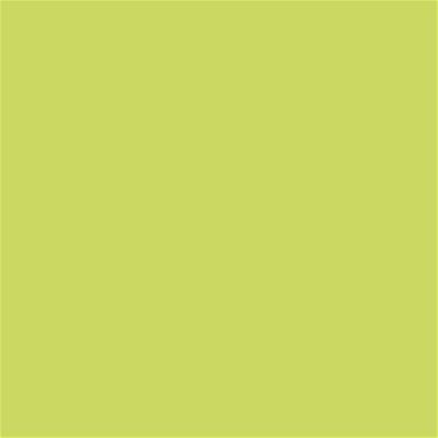 13-0540 TCX Wild Lime