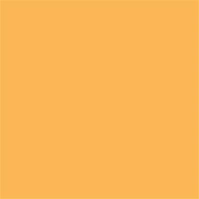 13-0942 TCX Amber Yellow