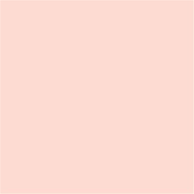 13-2807 TCX Ballerina